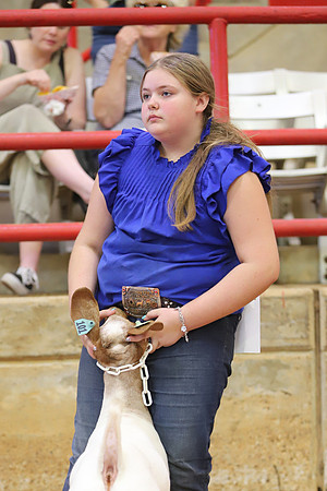East Texas State Fair - Goat Showmanship-040