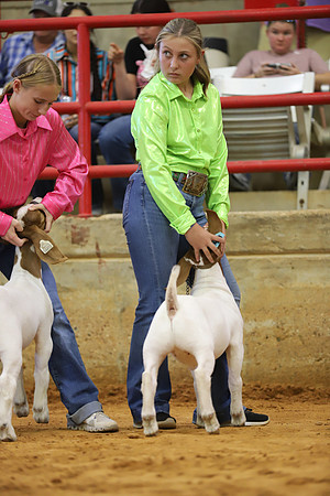 East Texas State Fair - Goat Show-125