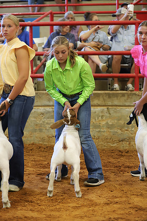 East Texas State Fair - Goat Showmanship-077