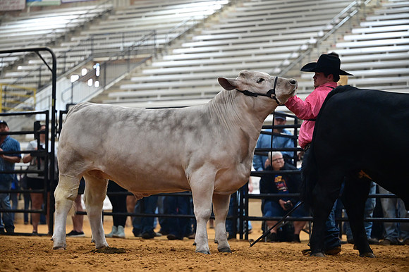 RCM_0265