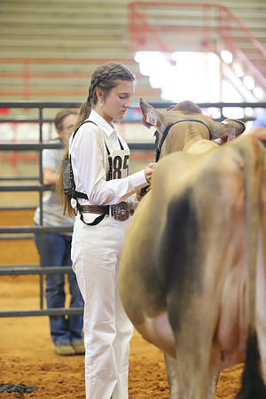 East Texas State Fair - Dairy Show-108