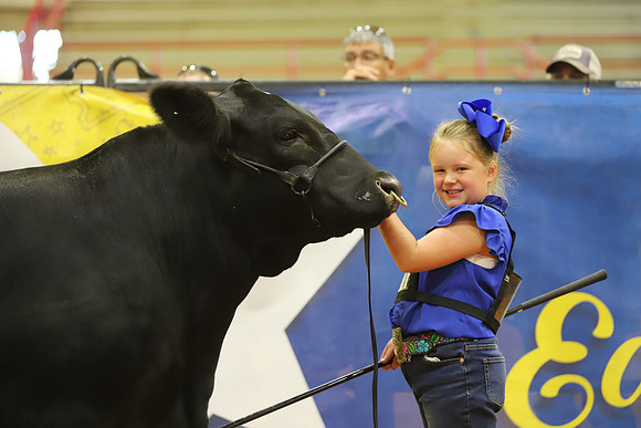 East Texas State Fair - Steer Show-012