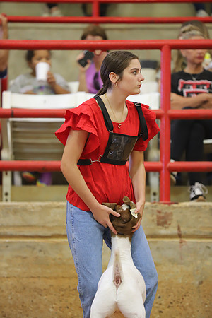 East Texas State Fair - Goat Show-149