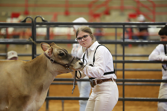 East Texas State Fair - Dairy Show-048