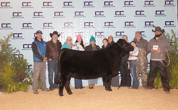 Cattle Backdrop 15
