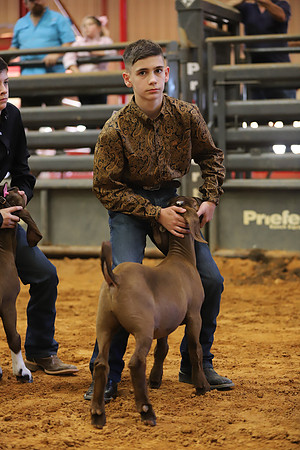 East Texas State Fair - Goat Showmanship-084