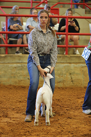 East Texas State Fair - Goat Showmanship-131