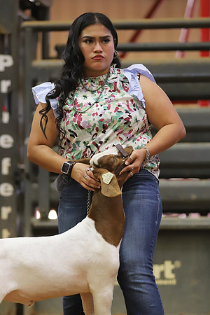 East Texas State Fair - Goat Showmanship-123