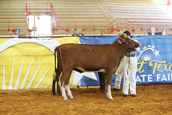 East Texas State Fair - Dairy Show-242