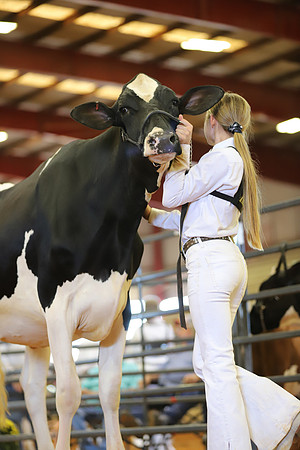 East Texas State Fair - Dairy Show-309