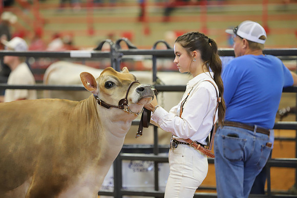 East Texas State Fair - Dairy Show-052