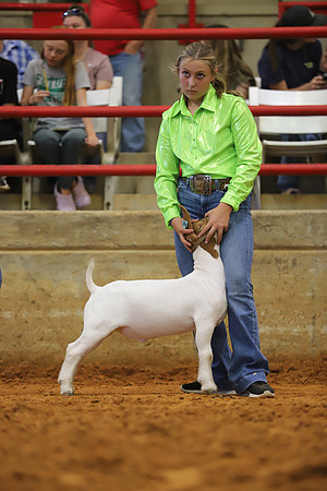 East Texas State Fair - Goat Showmanship-055