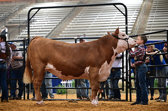 RCM_0251