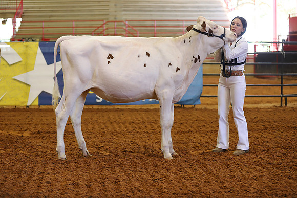East Texas State Fair - Dairy Show-308