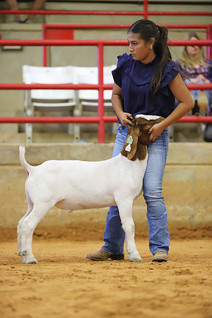East Texas State Fair - Goat Show-027