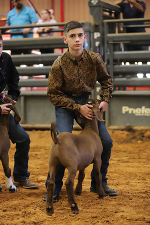 East Texas State Fair - Goat Showmanship-083