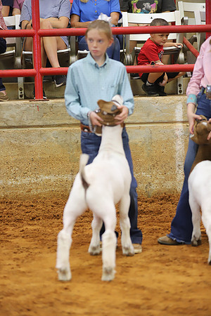 East Texas State Fair - Goat Showmanship-104