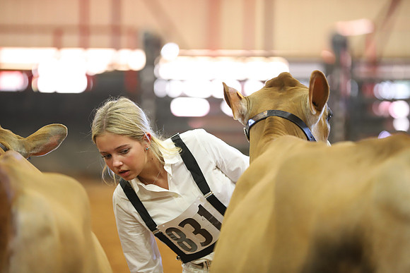 East Texas State Fair - Dairy Show-133