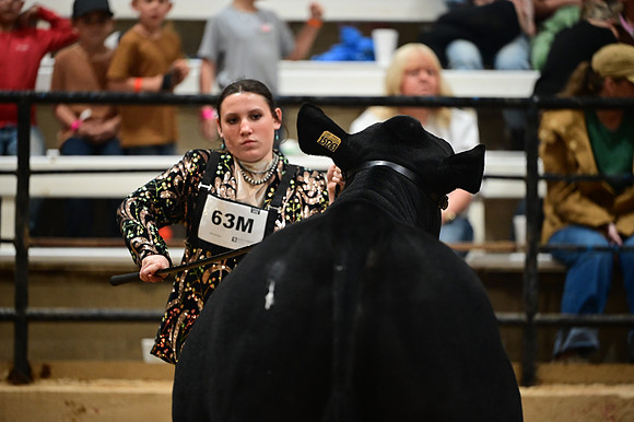 RCM_0279