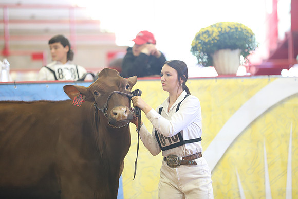 East Texas State Fair - Dairy Show-235