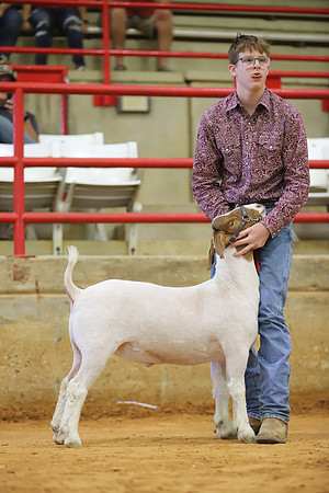 East Texas State Fair - Goat Show-008