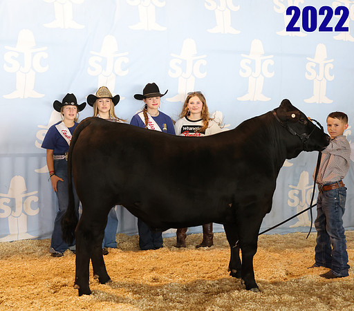 lot 45