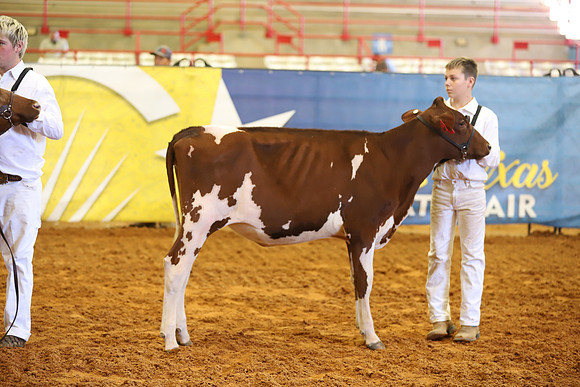 East Texas State Fair - Dairy Show-220