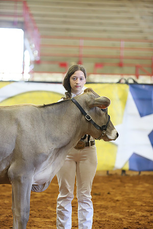 East Texas State Fair - Dairy Show-354
