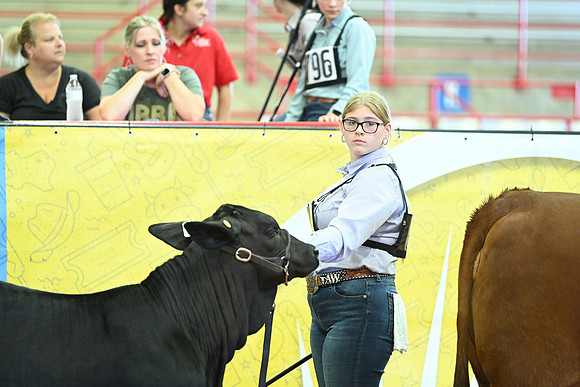 DSC_1919