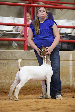 East Texas State Fair - Goat Show-074