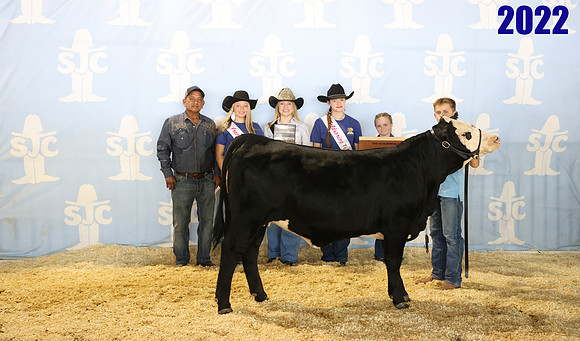lot 46