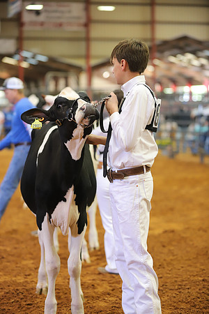 East Texas State Fair - Dairy Show-286