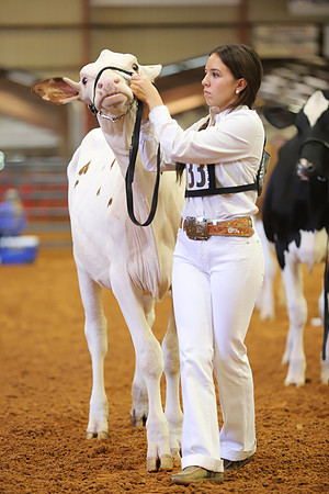 East Texas State Fair - Dairy Show-290