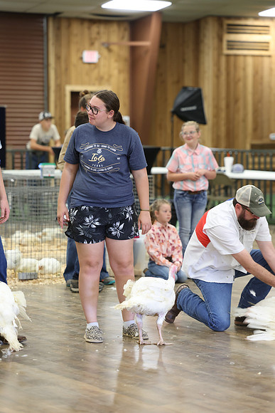 2L6A9370