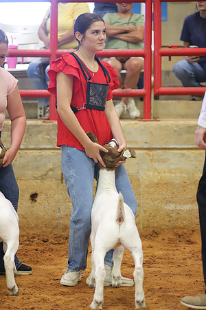 East Texas State Fair - Goat Showmanship-096