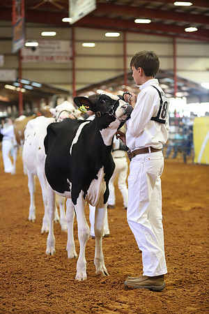 East Texas State Fair - Dairy Show-295