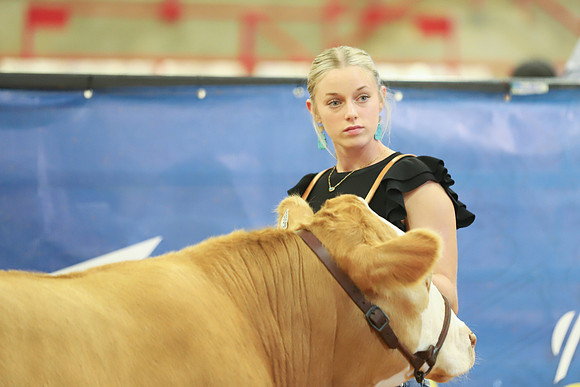 East Texas State Fair - Steer Show-035