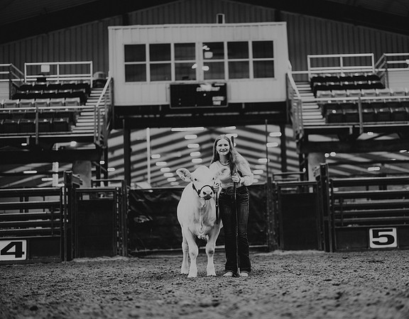 state Show-5