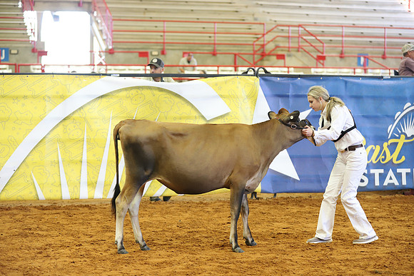 East Texas State Fair - Dairy Show-169