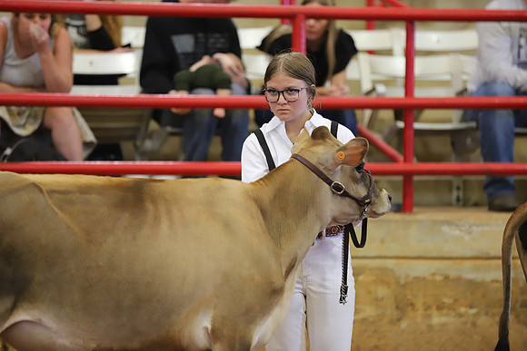East Texas State Fair - Dairy Show-083