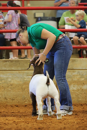 East Texas State Fair - Goat Showmanship-137