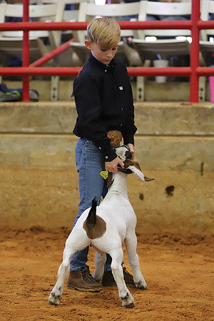East Texas State Fair - Goat Showmanship-031