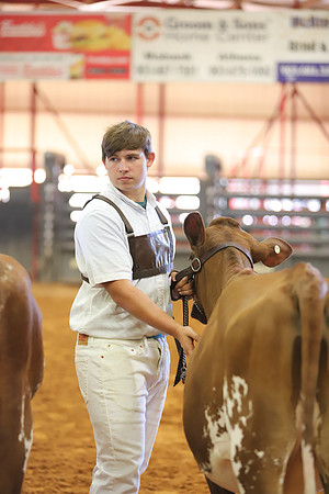 East Texas State Fair - Dairy Show-253