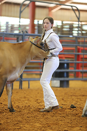 East Texas State Fair - Dairy Show-089