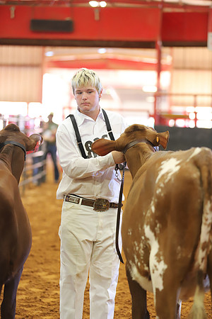 East Texas State Fair - Dairy Show-252