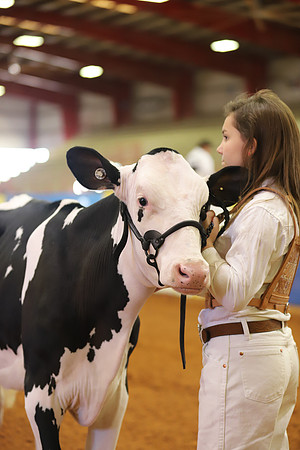 East Texas State Fair - Dairy Show-292