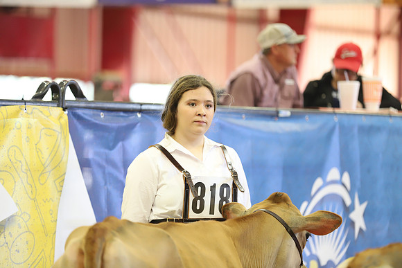 East Texas State Fair - Dairy Show-157
