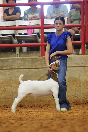 East Texas State Fair - Goat Showmanship-049