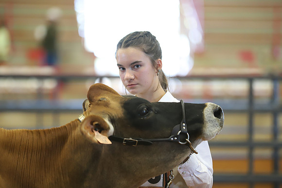 East Texas State Fair - Dairy Show-075