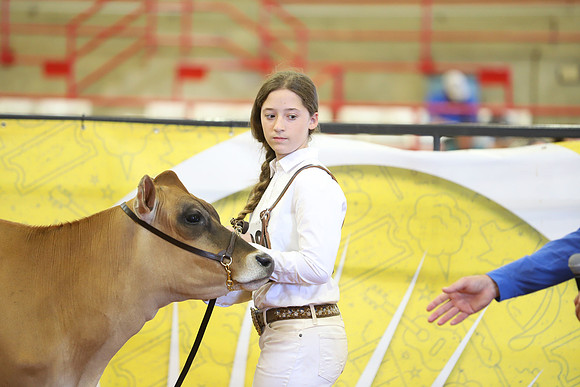 East Texas State Fair - Dairy Show-137